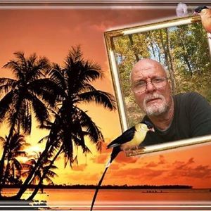 Meet your Posher, George